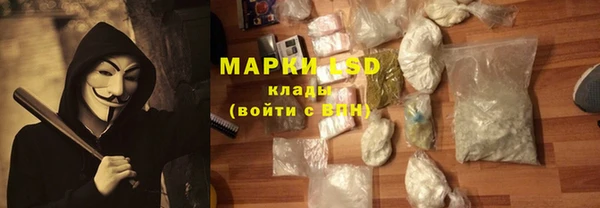 ГАЛЛЮЦИНОГЕННЫЕ ГРИБЫ Белокуриха