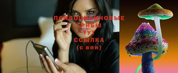 ГАЛЛЮЦИНОГЕННЫЕ ГРИБЫ Белокуриха