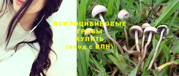 2c-b Беломорск
