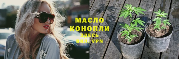 ГАЛЛЮЦИНОГЕННЫЕ ГРИБЫ Белокуриха