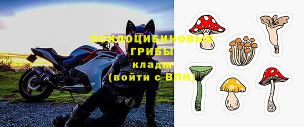 ГАЛЛЮЦИНОГЕННЫЕ ГРИБЫ Белокуриха