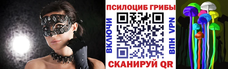 Псилоцибиновые грибы Cubensis  Верхний Уфалей 